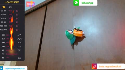 Snapshot of bryan_colen chatting on 27, 1, 2025 Enjoy the best muscle straws online show from 27, 1, 2025