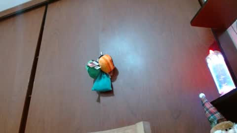 Snapshot of bryan_colen chatting on 11, 2, 2025 Enjoy the best muscle straws online show from 11, 2, 2025