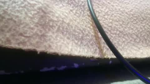 Snapshot of bubumaci53 chatting on 30, 11, 2025 bubumaci53 online show from 30, 11, 2025