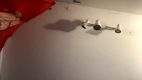 buckoykang online show from 14, 2, 2025