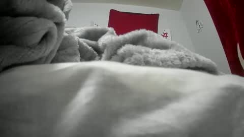 budsonly33 online show from 12, 12, 2024