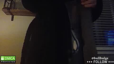 Bull. online show from 19, 1, 2026