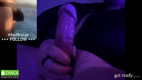 Bull. online show from 16, 4, 2026