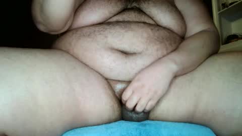 bunbbear online show from 15, 1, 2025