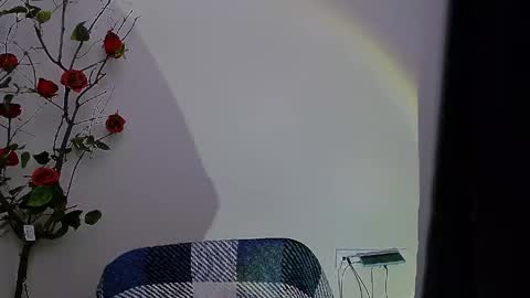 Snapshot of bunnybloom_ chatting on 28, 4, 2026 Ariel online show from 28, 4, 2026