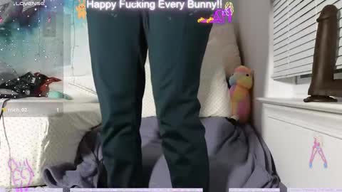 Snapshot of bunnycheekz chatting on 12, 12, 2024 Tokki bunny online show from 12, 12, 2024