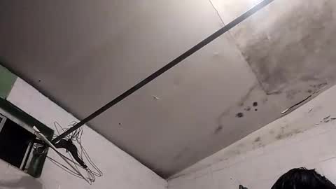 Snapshot of bunnychocolatte151671 chatting on 30, 11, 2025 bunnychocolatte69 online show from 30, 11, 2025