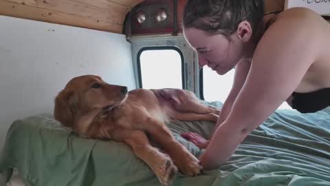 busbuddies online show from 2, 2, 2025