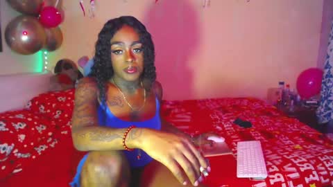 butterfly_rouse online show from 14, 11, 2025