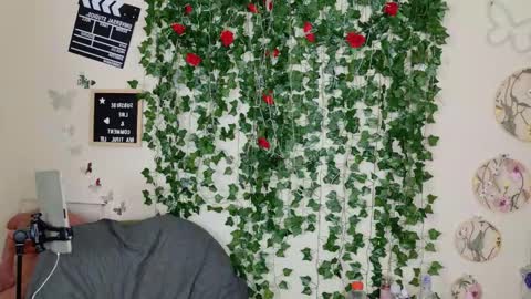 butterfly booty online show from 1, 11, 2025