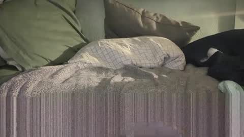 1DontR3member online show from 14, 1, 2026