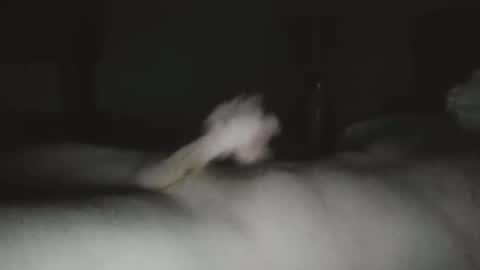 Snapshot of caguy2810 chatting on 3, 12, 2025 caguy2810 online show from 3, 12, 2025