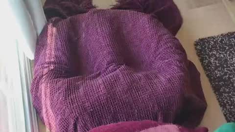 Caked Up online show from 24, 3, 2026