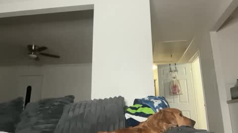 CaliCreamDaddy online show from 25, 5, 2026