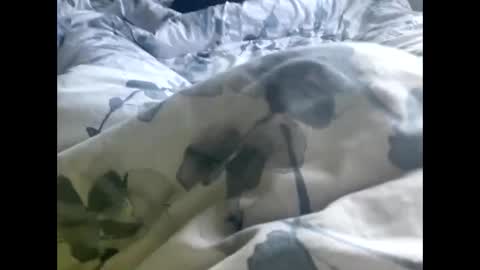 callmedaddyyouslut44 online show from 2, 3, 2026