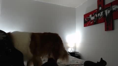 camila online show from 8, 3, 2025