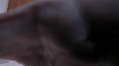 camilaa_smith_ online show from 2, 4, 2026