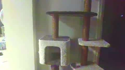 Snapshot of cammyman6900 chatting on 20, 11, 2025 cammyman6900 online show from 20, 11, 2025