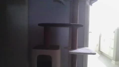 Snapshot of cammyman6900 chatting on 21, 11, 2025 cammyman6900 online show from 21, 11, 2025