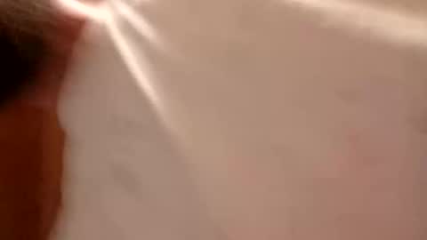 Snapshot of campas59100 chatting on 28, 2, 2026 campas59100 online show from 28, 2, 2026