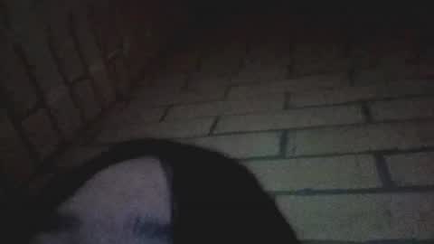 Mari online show from 16, 7, 2026