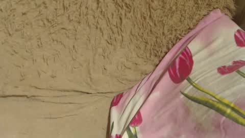Snapshot of candylady13 chatting on 5, 12, 2024 say meow and send tips online show from 5, 12, 2024
