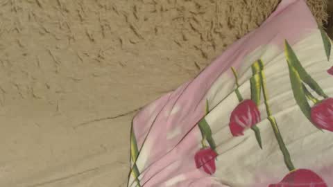 Snapshot of candylady13 chatting on 7, 12, 2024 say meow and send tips online show from 7, 12, 2024