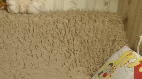 Snapshot of candylady13 chatting on 19, 1, 2025 say meow and send tips online show from 19, 1, 2025