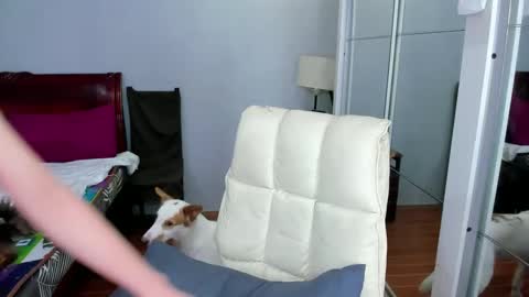 Snapshot of carla_bigcock09 chatting on 20, 2, 2025 carla_bigcock09 online show from 20, 2, 2025