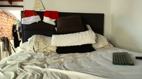 Snapshot of carlbadams96 chatting on 31, 12, 2024 sebasfit online show from 31, 12, 2024