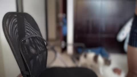 carlcarlinches4 online show from 10, 3, 2025