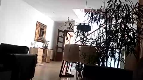 Snapshot of carlitito1 chatting on 15, 4, 2026 carlitito1 online show from 15, 4, 2026