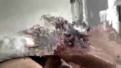 carnifex5 online show from 26, 2, 2026