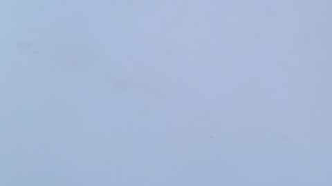 caro online show from 16, 2, 2026