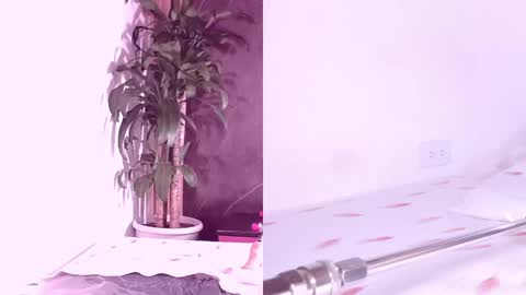 Carol online show from 7, 4, 2026