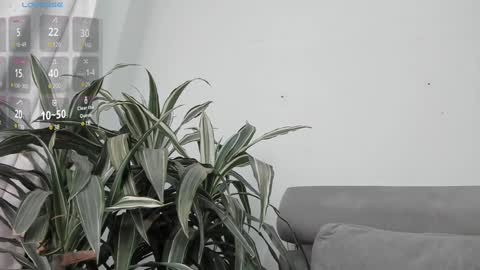 Snapshot of carolina_t chatting on 22, 1, 2025 carolina_t online show from 22, 1, 2025