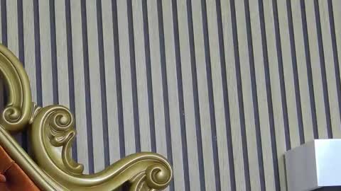 carolinahart online show from 24, 3, 2026