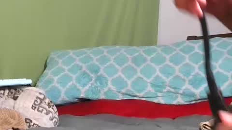 Snapshot of carolinayungin96 chatting on 11, 11, 2025 carolinayungin96 online show from 11, 11, 2025