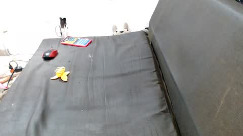 Snapshot of caroljeager chatting on 7, 12, 2024 carol my sign is capricorn online show from 7, 12, 2024