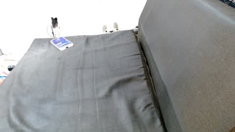 Snapshot of caroljeager chatting on 19, 12, 2024 carol my sign is capricorn online show from 19, 12, 2024