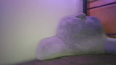 Snapshot of caseyjoexo chatting on 5, 2, 2026 Casey Joe online show from 5, 2, 2026
