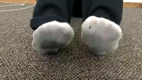 Snapshot of cash13bychanel chatting on 14, 11, 2025 cash13bychanel online show from 14, 11, 2025