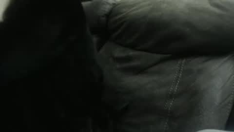 casidy1 online show from 23, 1, 2025