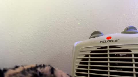 casidy1 online show from 28, 2, 2025