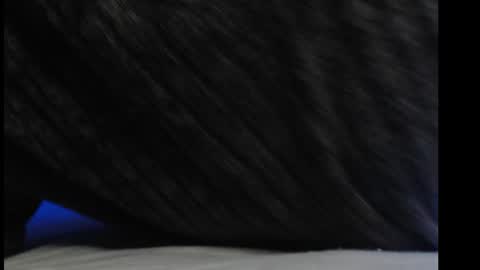 casidy1 online show from 6, 3, 2025