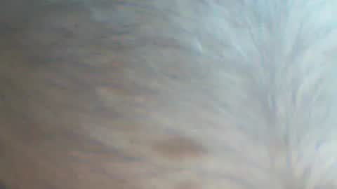 Snapshot of castells chatting on 22, 9, 2025 castells online show from 22, 9, 2025