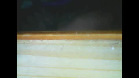 castells online show from 15, 12, 2025