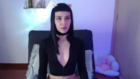 cat online show from 22, 1, 2025