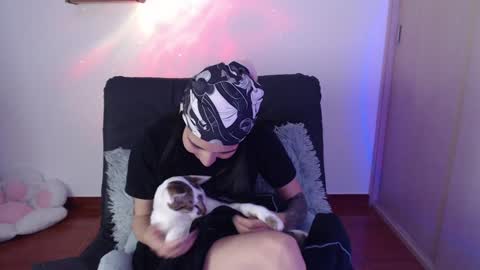 cat online show from 31, 1, 2025
