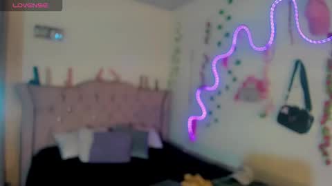 cata__mw online show from 23, 2, 2026